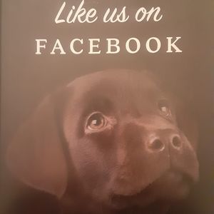 Meet your Posher, Cande